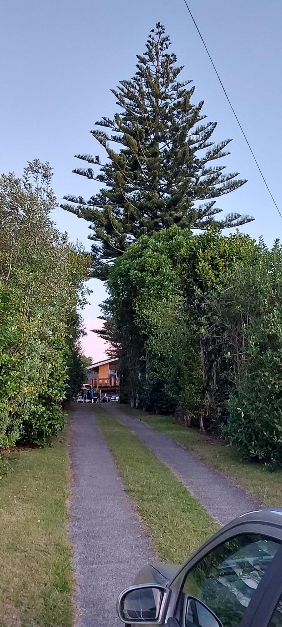 Haley'S Cabin Tauranga Esterno foto