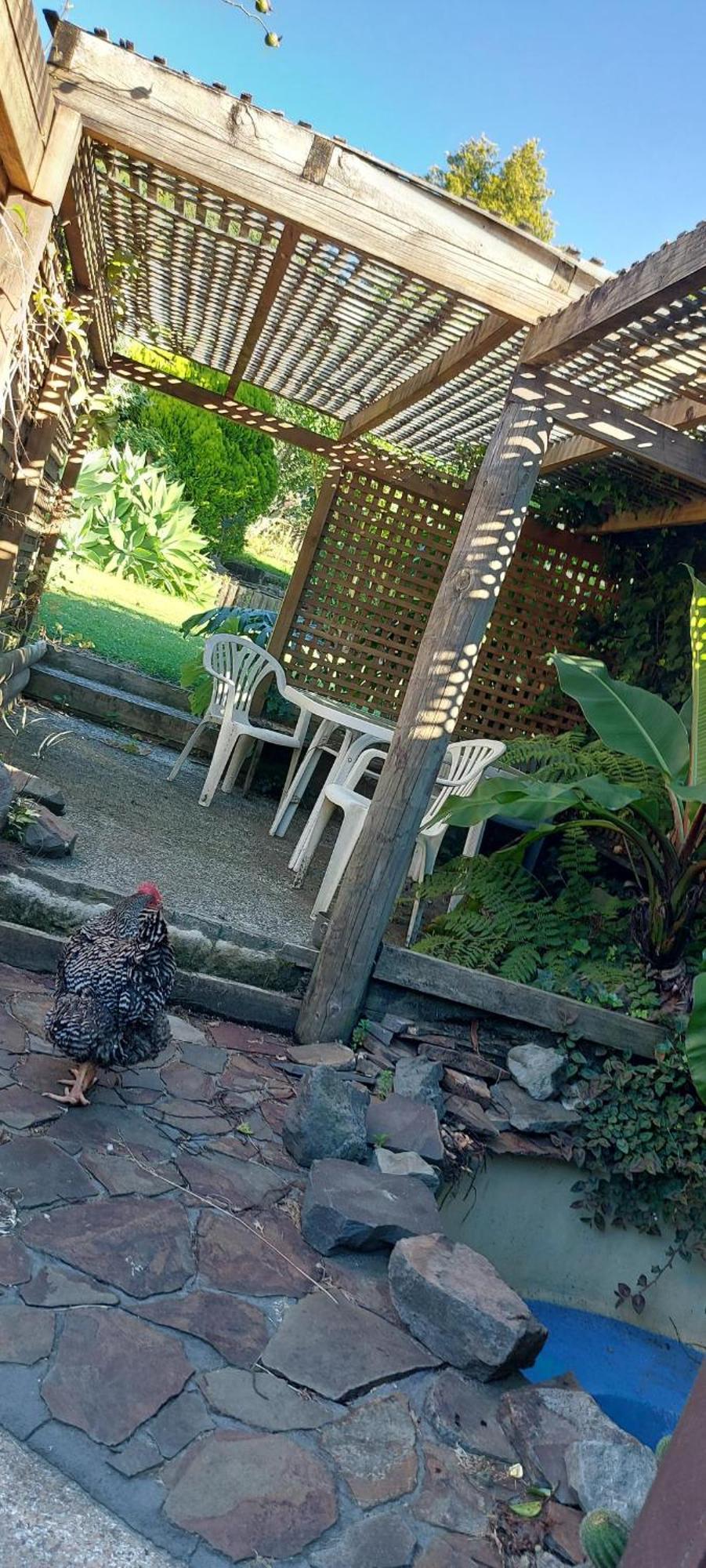Haley'S Cabin Tauranga Esterno foto